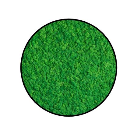 Machový obraz kruh Lišajník Forest Green