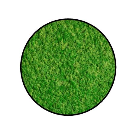Machový obraz kruh Lišajník Light Green